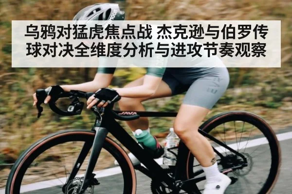 乌鸦对猛虎焦点战 杰克逊与伯罗传球对决全维度分析与进攻节奏观察 | ayx